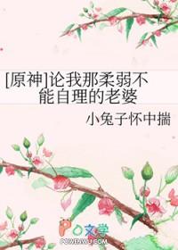 原神 论我那柔弱不能自理的老婆