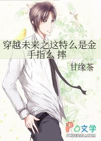 穿越未来之