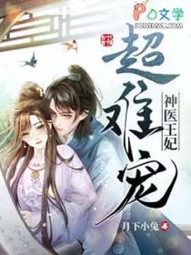 神医王妃很得宠无弹窗